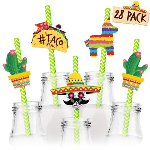 Fiesta Paper Drinking Straw Set - 28 Pack